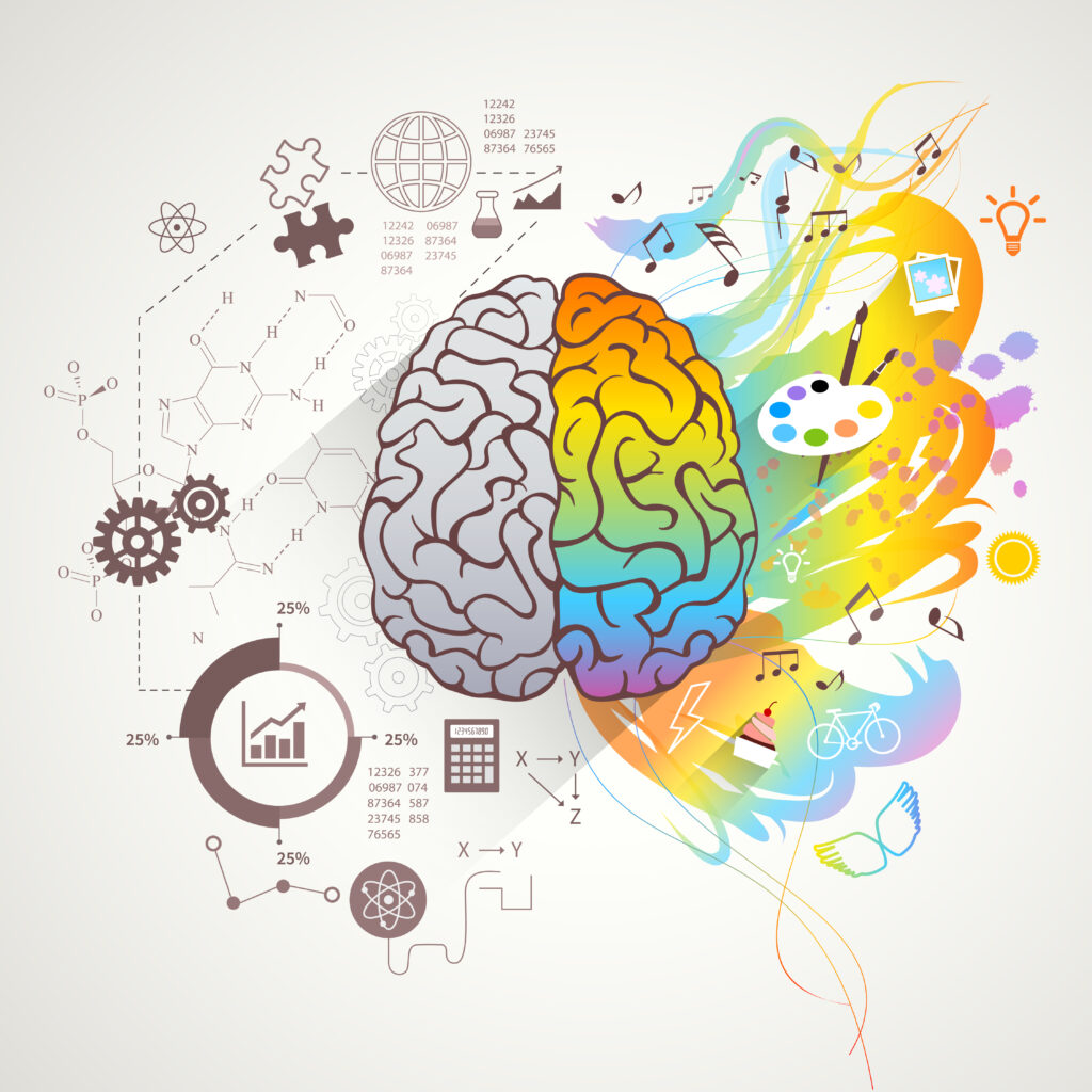 Brain-Based Study Techniques